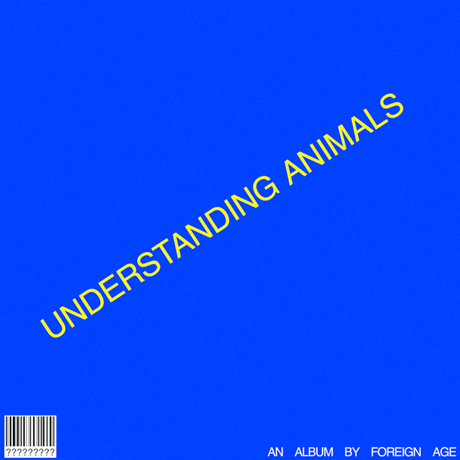 Understanding Animals - Album Cover
